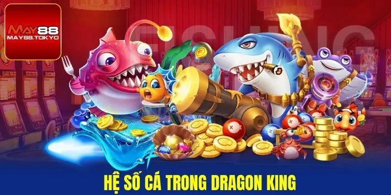 Hệ số cá trong Dragon King