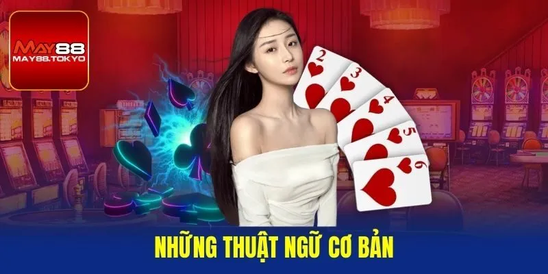 Những thuật ngữ cơ bản