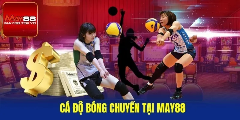 Cá độ bóng chuyền tại MAY88